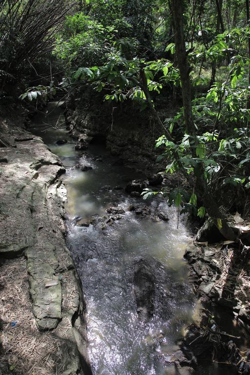 Rumah Senjakala Bantul Buitenkant foto